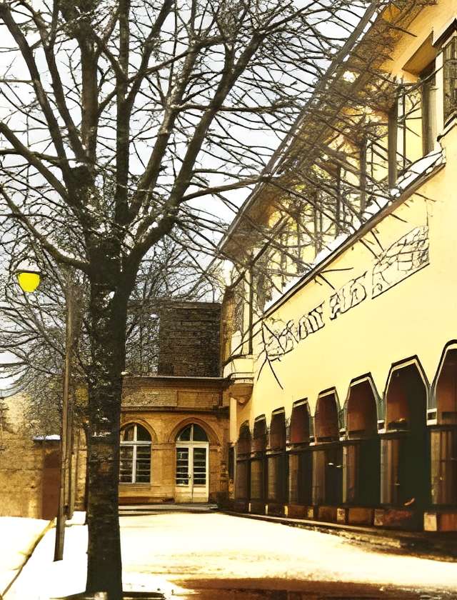 Musée Salies à Bagnères-de-Bigorre 