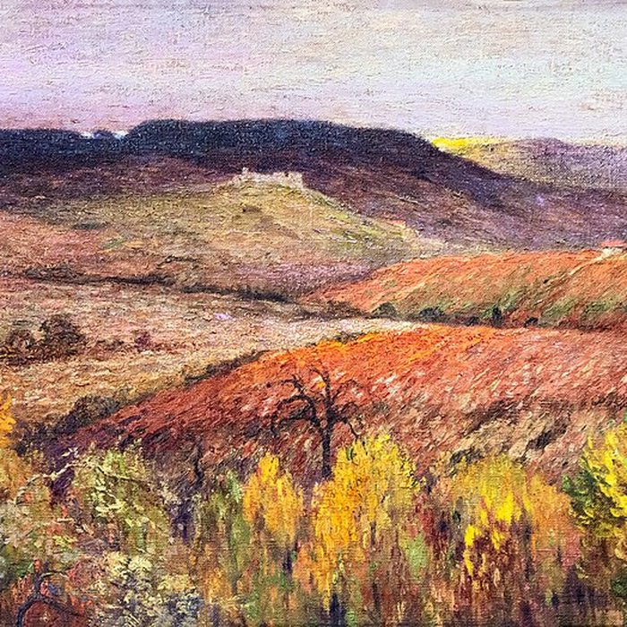 Photo de Musée des beaux-arts de Gaillac