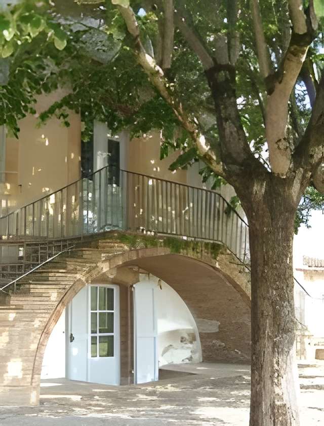 Musée d'histoire naturelle Philadelphe Thomas à Gaillac 