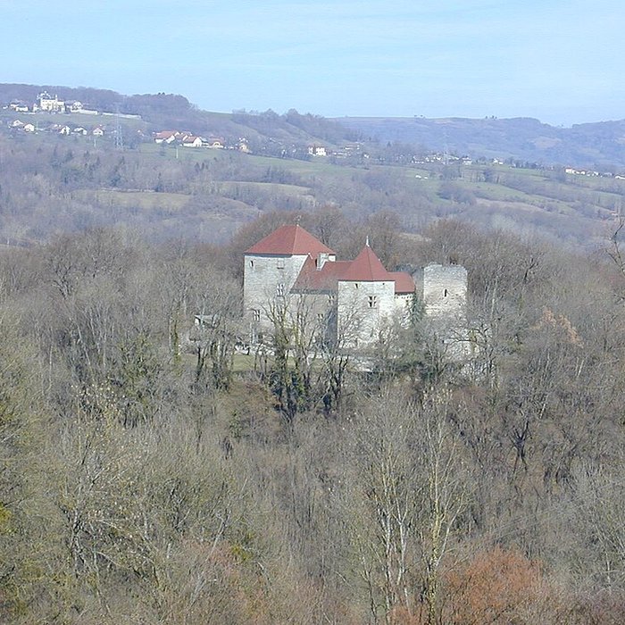 Photo de Château de Sallenôves