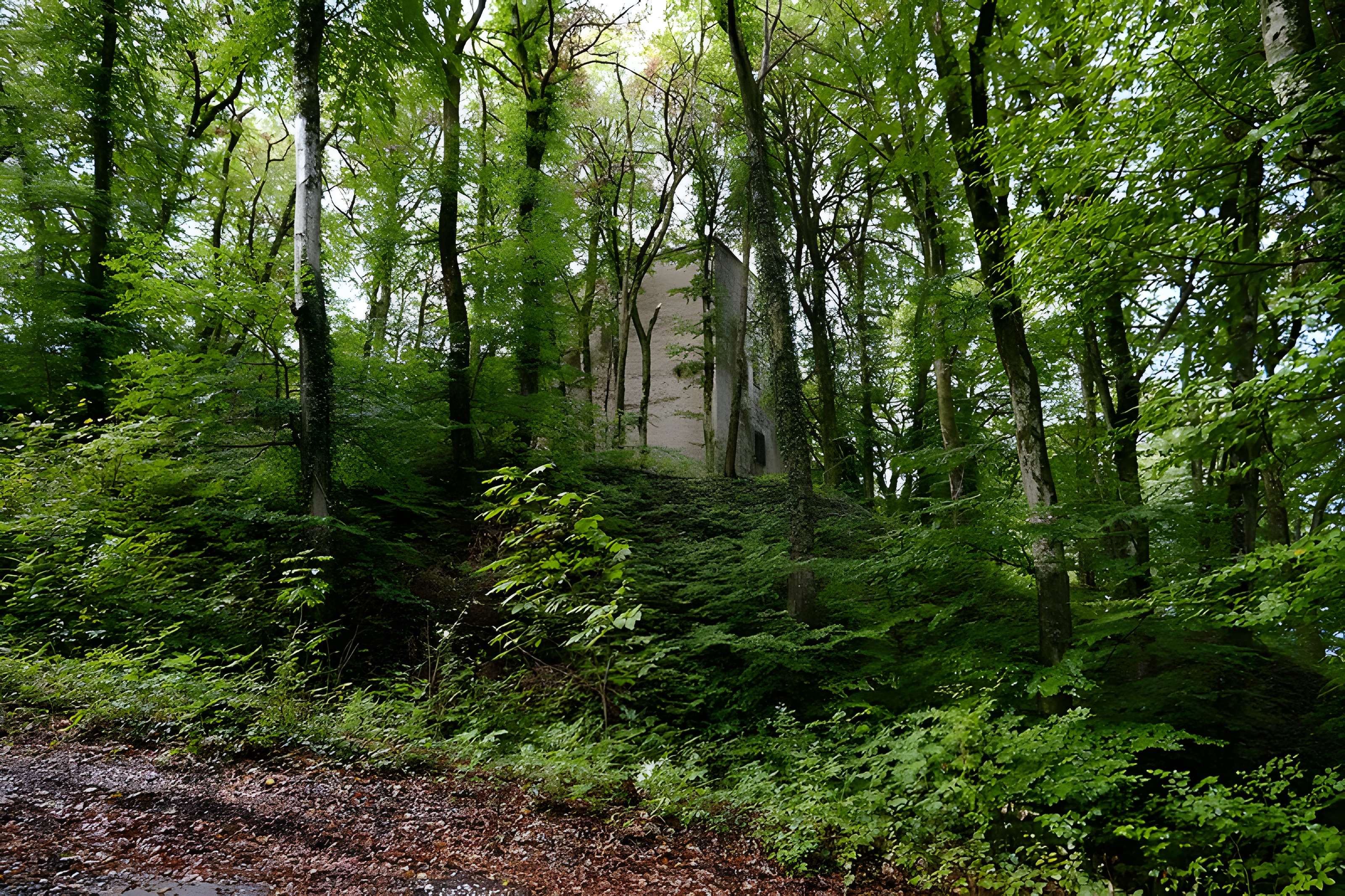 Château de Sallenôves