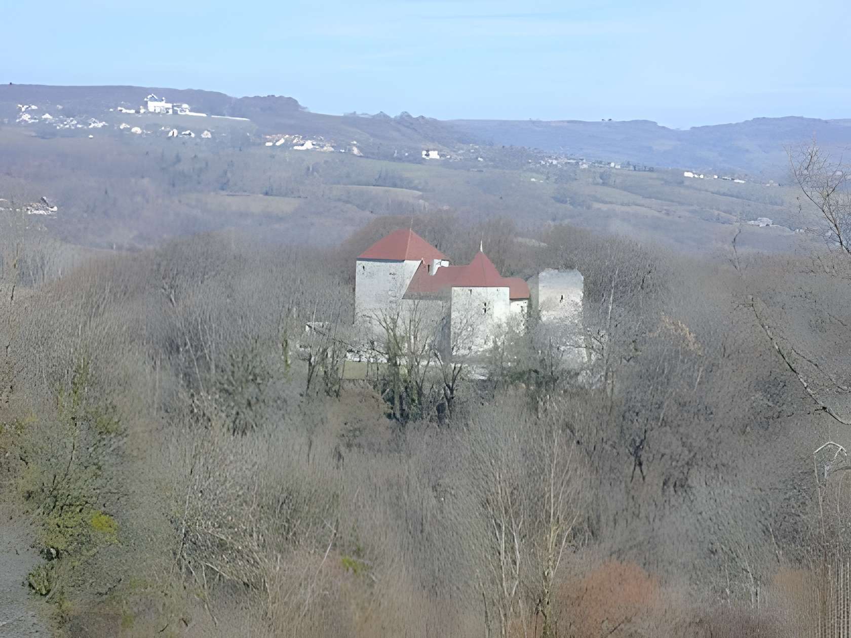 Château de Sallenôves 