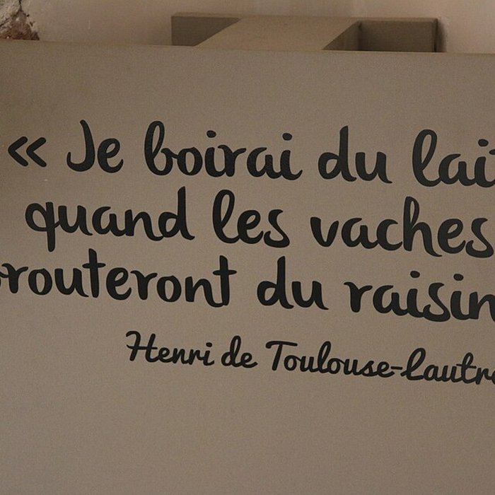 Photo de Palais de la Berbie : Musée Toulouse-Lautrec à Albi