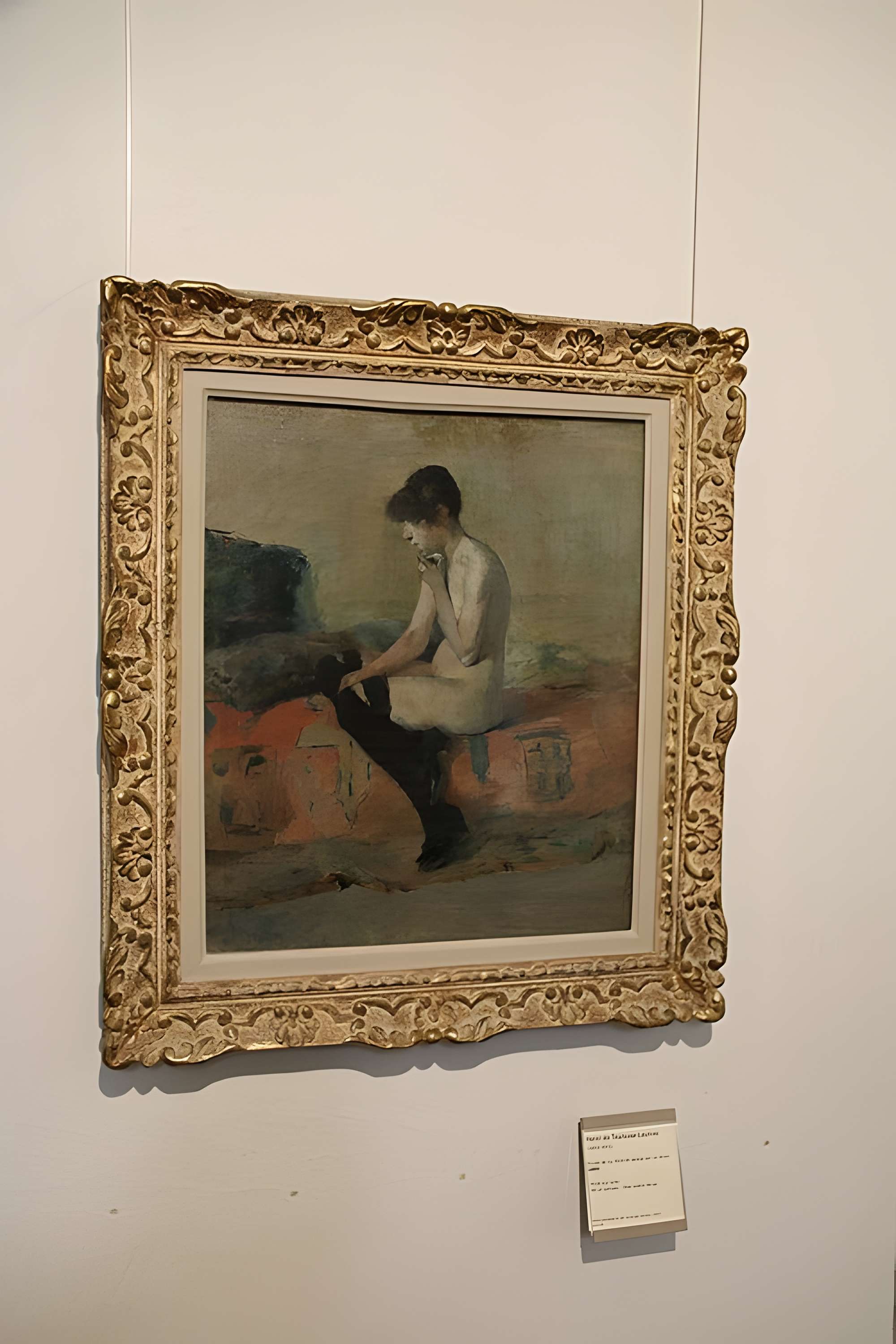 Palais de la Berbie : Musée Toulouse-Lautrec à Albi