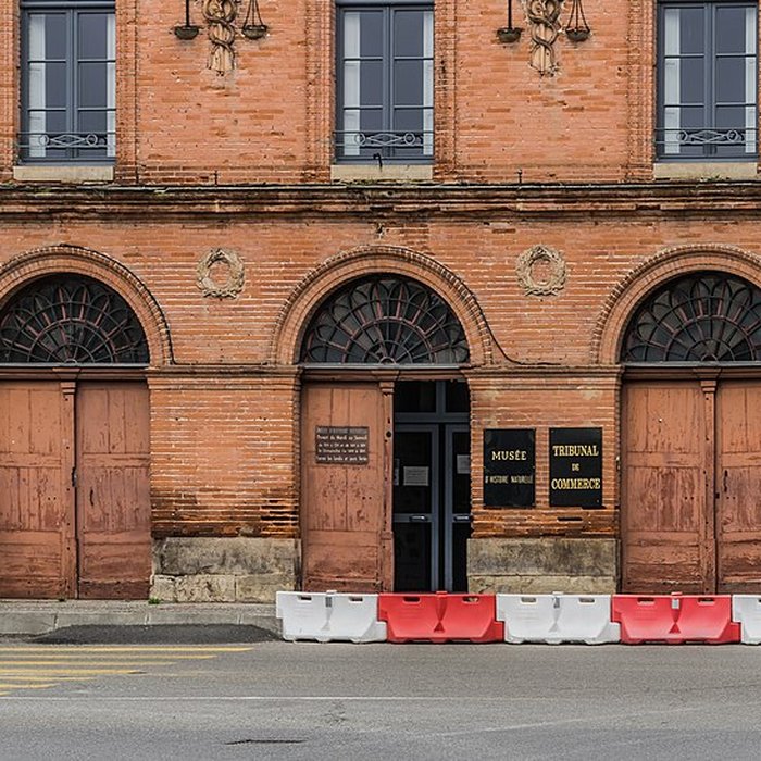 Photo de Musée dhistoire naturelle Victor-Brun à Montauban