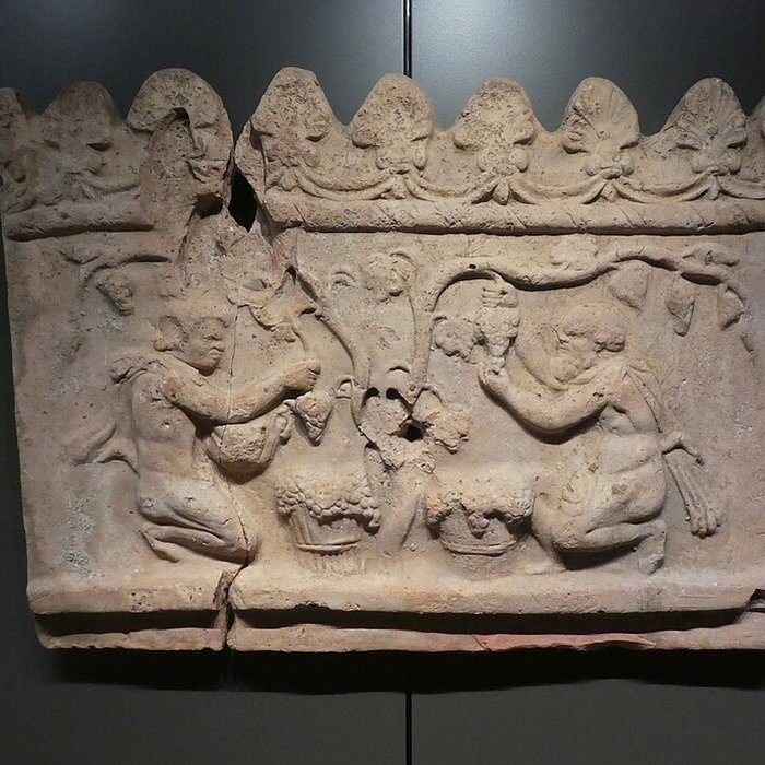 Photo de Musée Ingres à Montauban