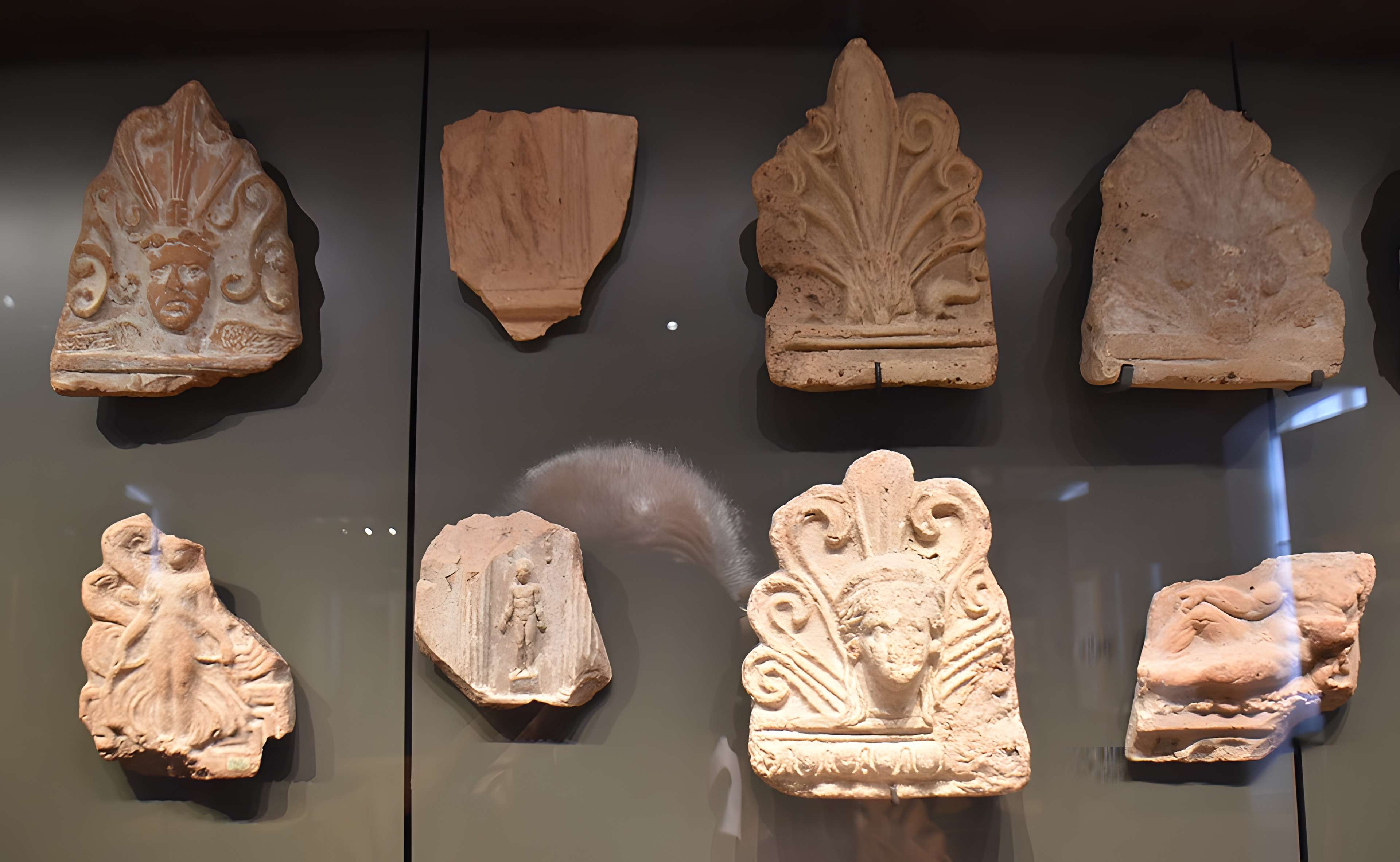 Musée Ingres à Montauban