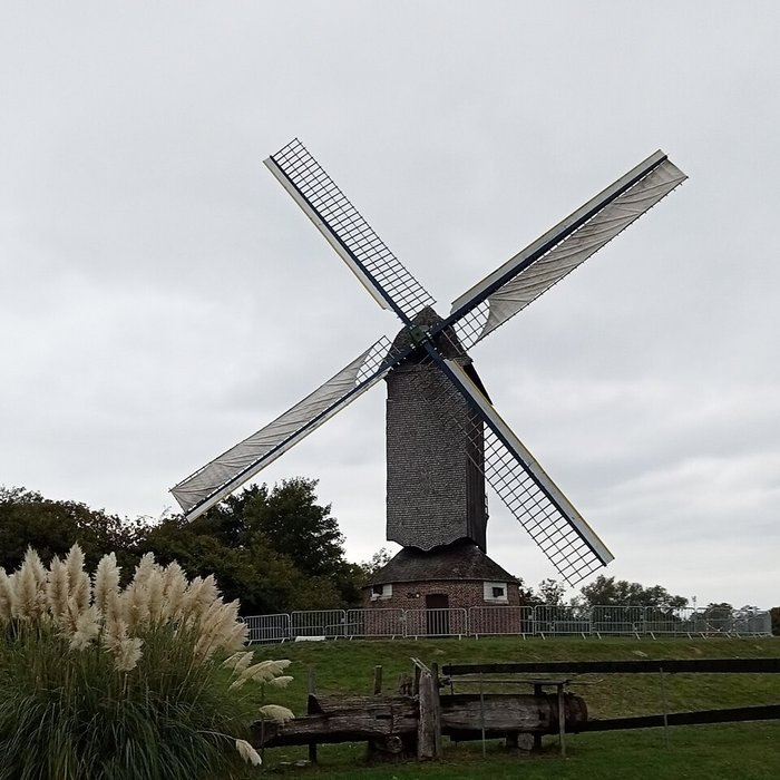 Photo de Musée des moulins de Villeneuve-dAscq