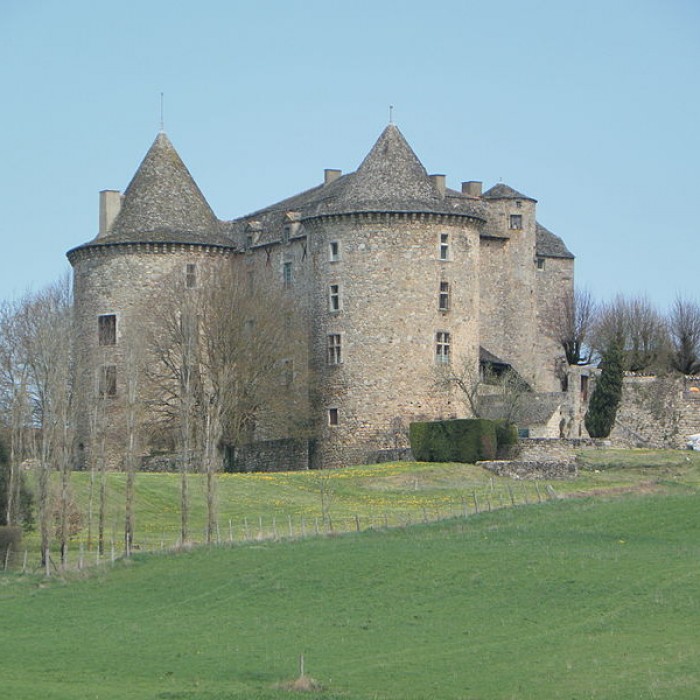 Photo de Château de Sanvensa