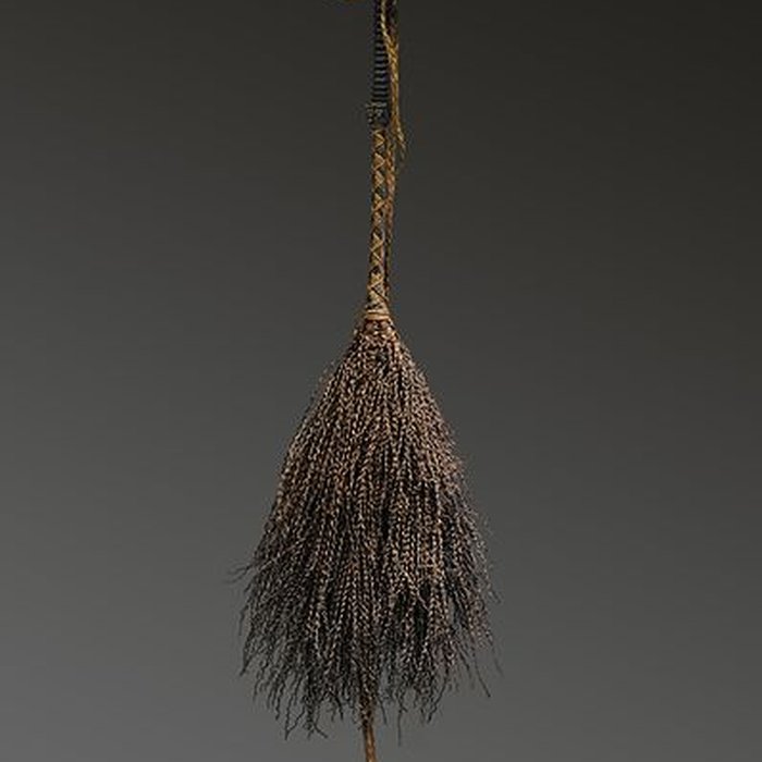 Photo de Musée dhistoire naturelle de Lille