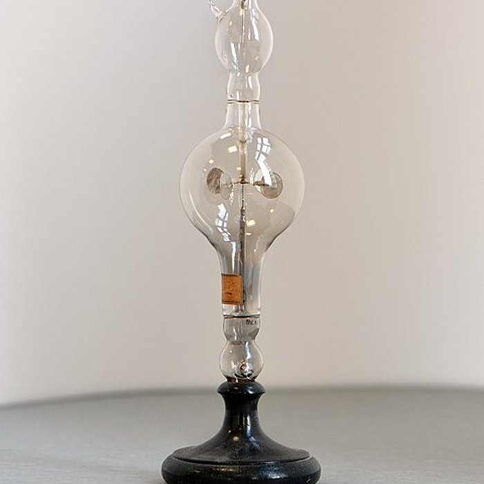 Photo de Musée dhistoire naturelle de Lille