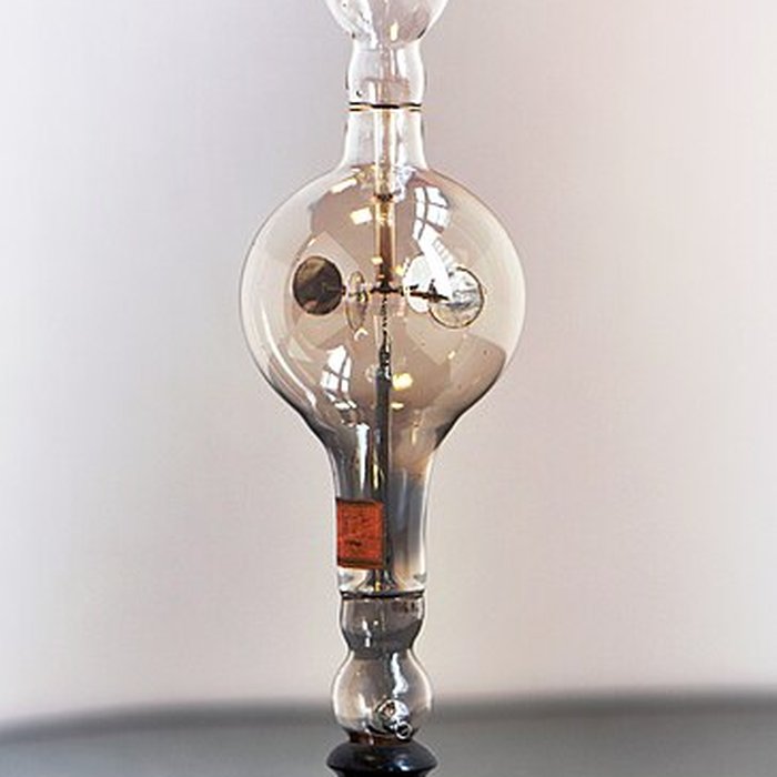 Photo de Musée dhistoire naturelle de Lille