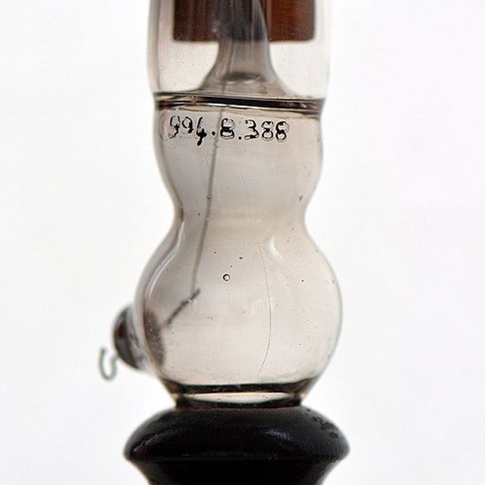 Photo de Musée dhistoire naturelle de Lille