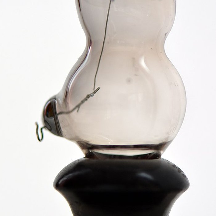 Photo de Musée dhistoire naturelle de Lille