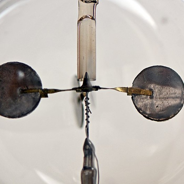 Photo de Musée dhistoire naturelle de Lille