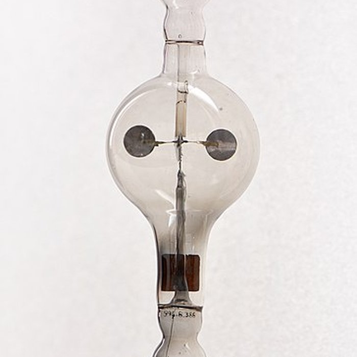 Photo de Musée dhistoire naturelle de Lille