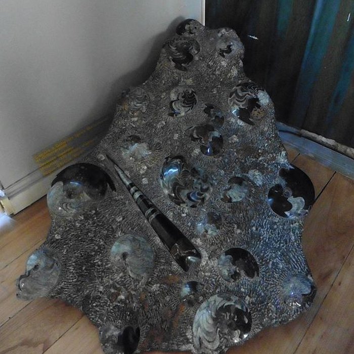 Photo de Musée dhistoire naturelle de Lille