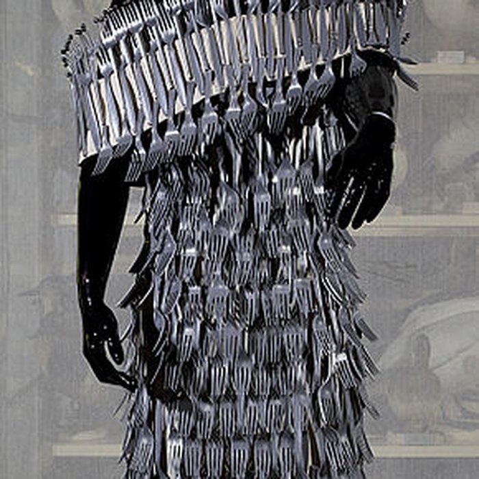 Photo de Musée dhistoire naturelle de Lille