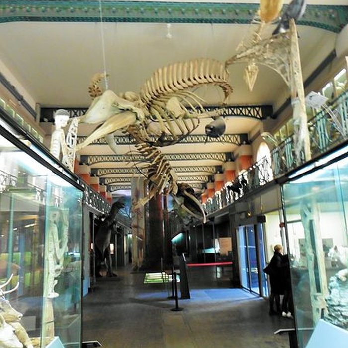 Photo de Musée dhistoire naturelle de Lille
