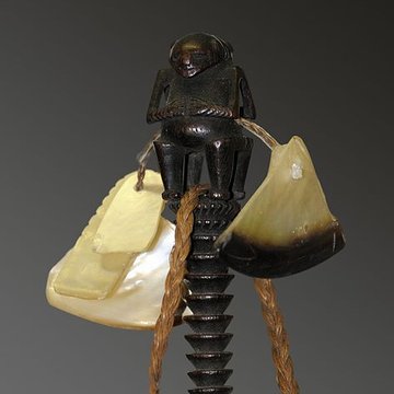 Musée dhistoire naturelle de Lille