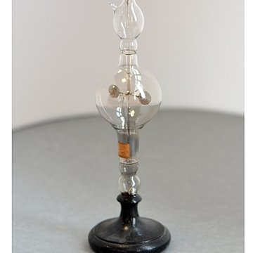 Musée dhistoire naturelle de Lille