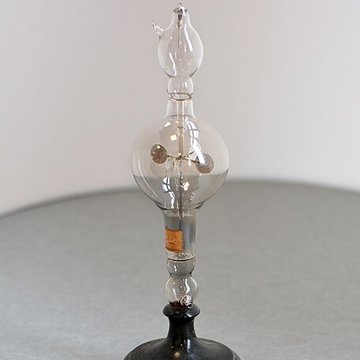 Musée dhistoire naturelle de Lille