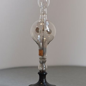 Musée dhistoire naturelle de Lille