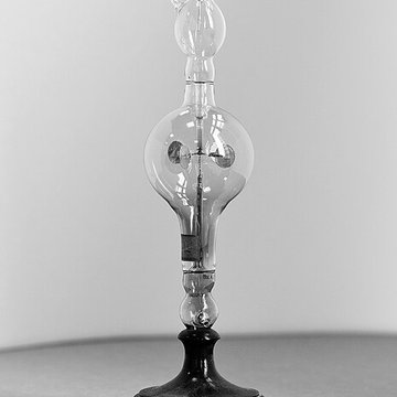 Musée dhistoire naturelle de Lille