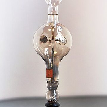 Musée dhistoire naturelle de Lille