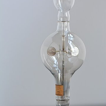 Musée dhistoire naturelle de Lille