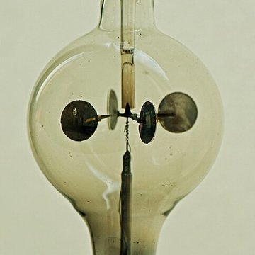 Musée dhistoire naturelle de Lille