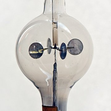 Musée dhistoire naturelle de Lille