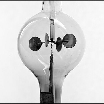 Musée dhistoire naturelle de Lille