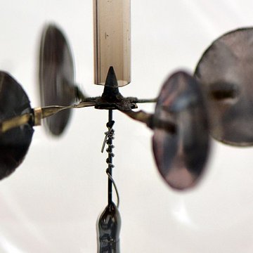 Musée dhistoire naturelle de Lille