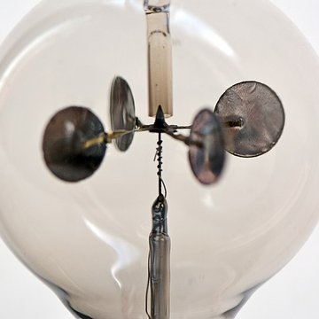 Musée dhistoire naturelle de Lille