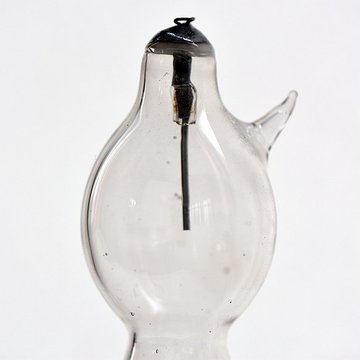 Musée dhistoire naturelle de Lille