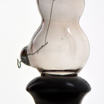 Musée dhistoire naturelle de Lille