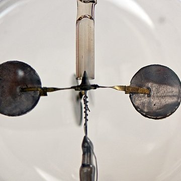 Musée dhistoire naturelle de Lille