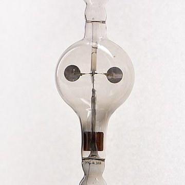 Musée dhistoire naturelle de Lille