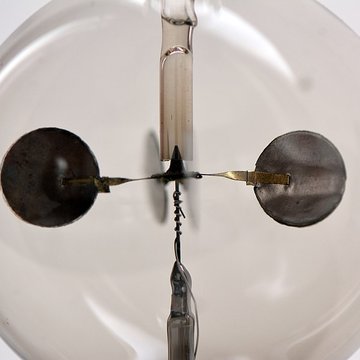 Musée dhistoire naturelle de Lille