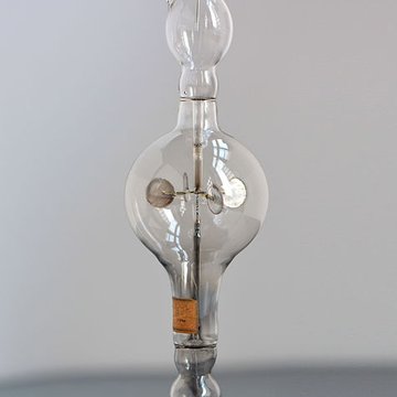 Musée dhistoire naturelle de Lille