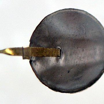 Musée dhistoire naturelle de Lille