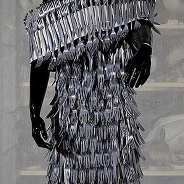 Musée dhistoire naturelle de Lille