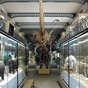 Musée dhistoire naturelle de Lille