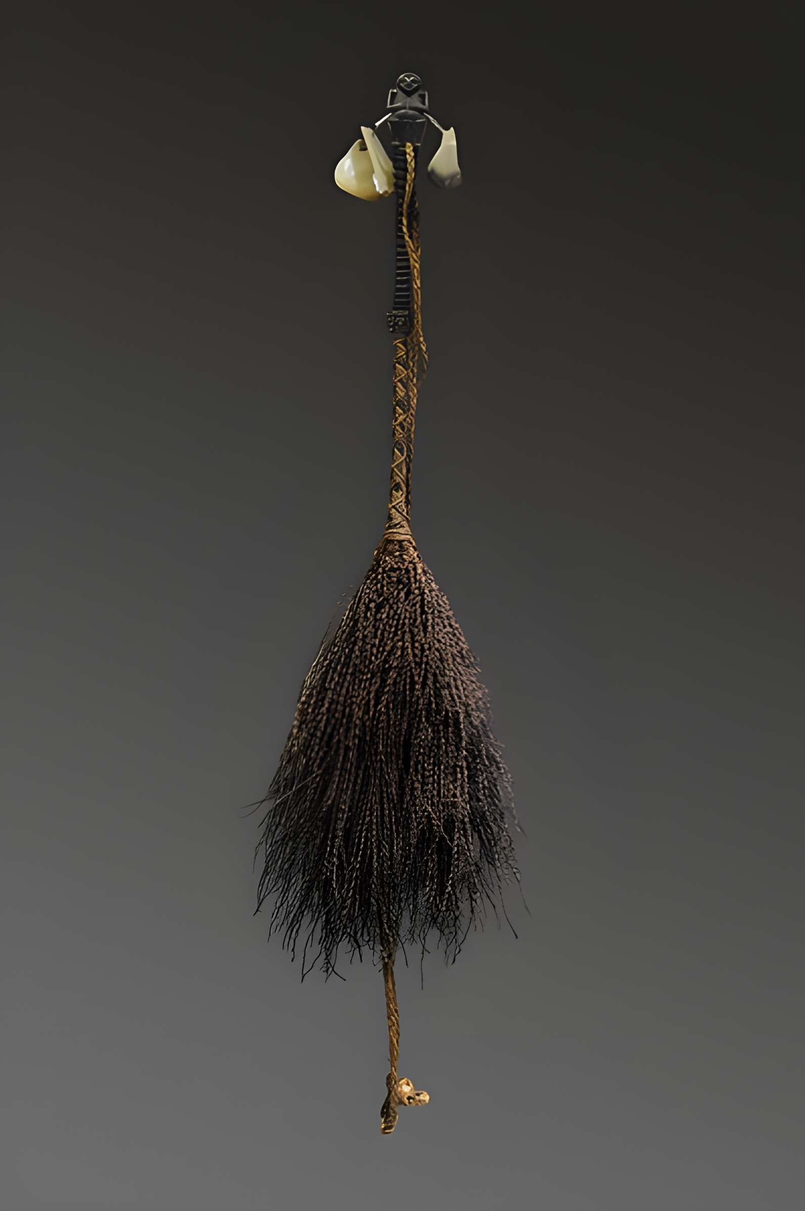 Musée d'histoire naturelle de Lille