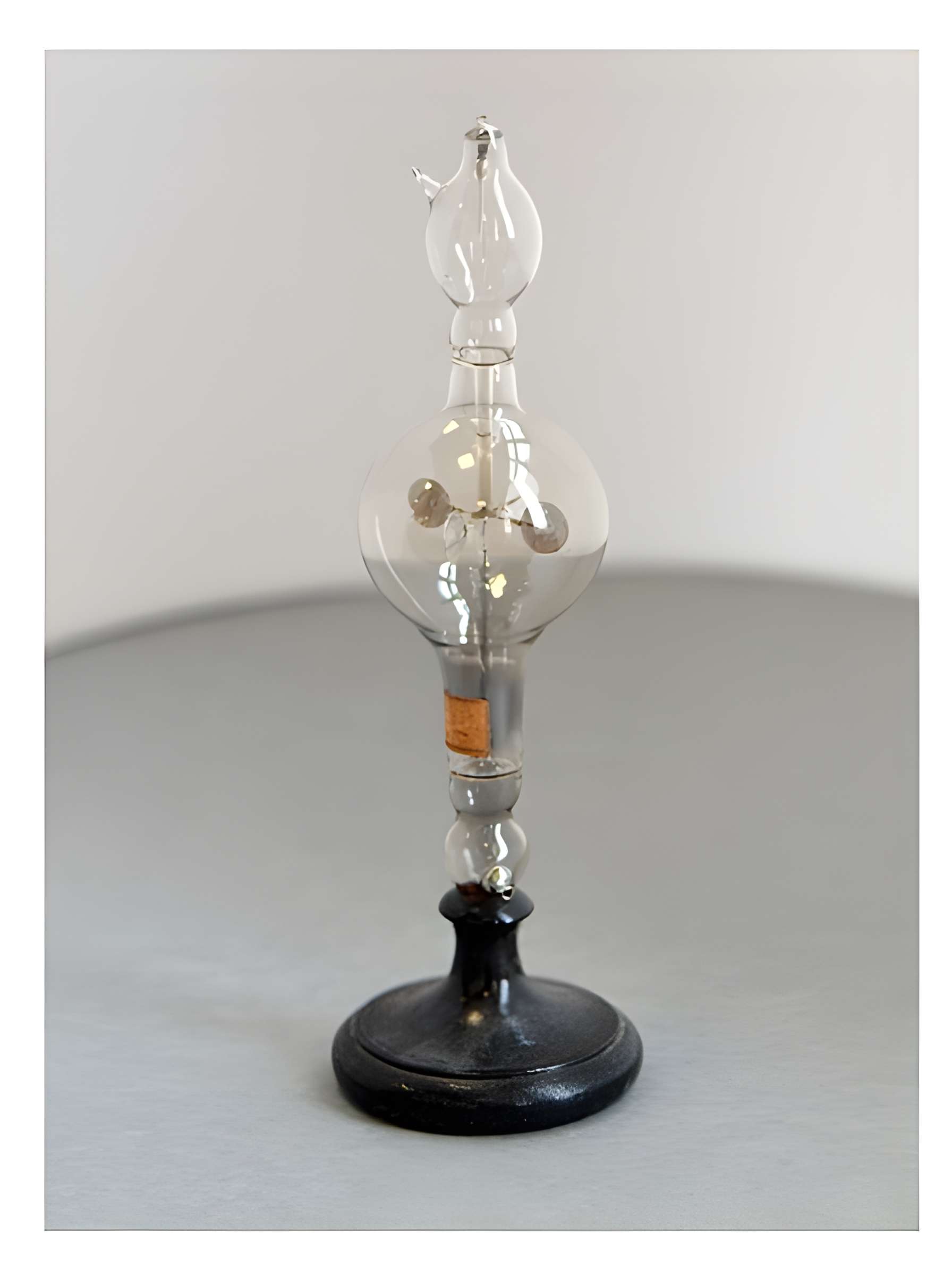 Musée d'histoire naturelle de Lille