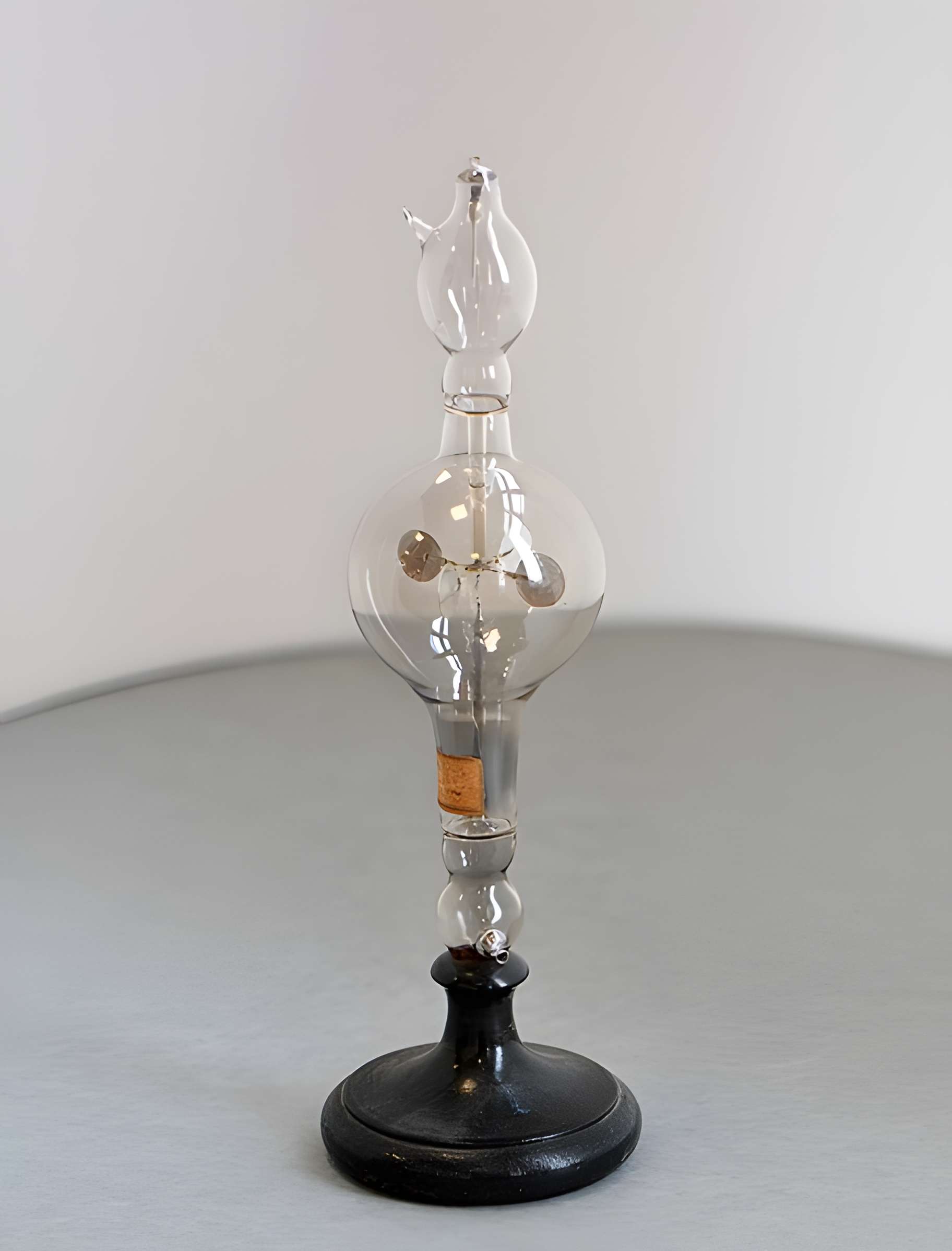 Musée d'histoire naturelle de Lille