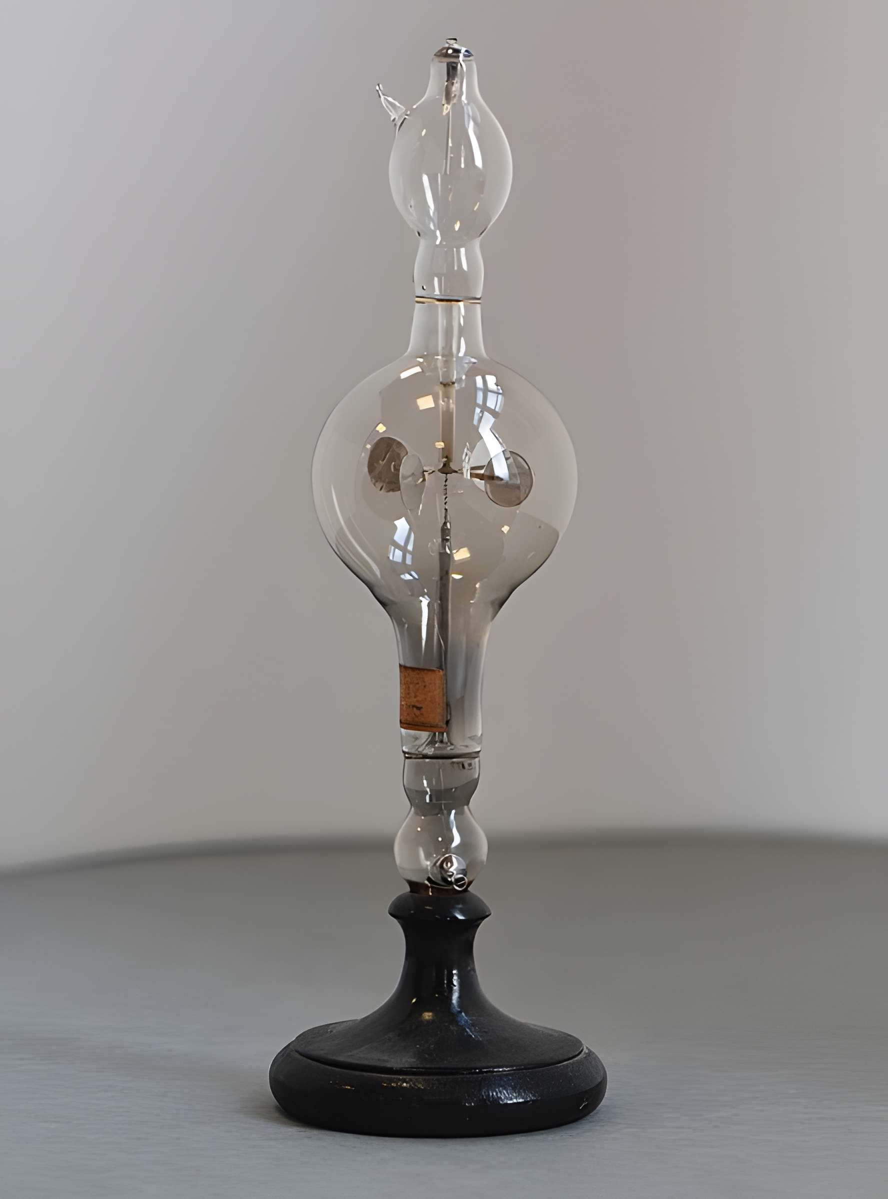 Musée d'histoire naturelle de Lille