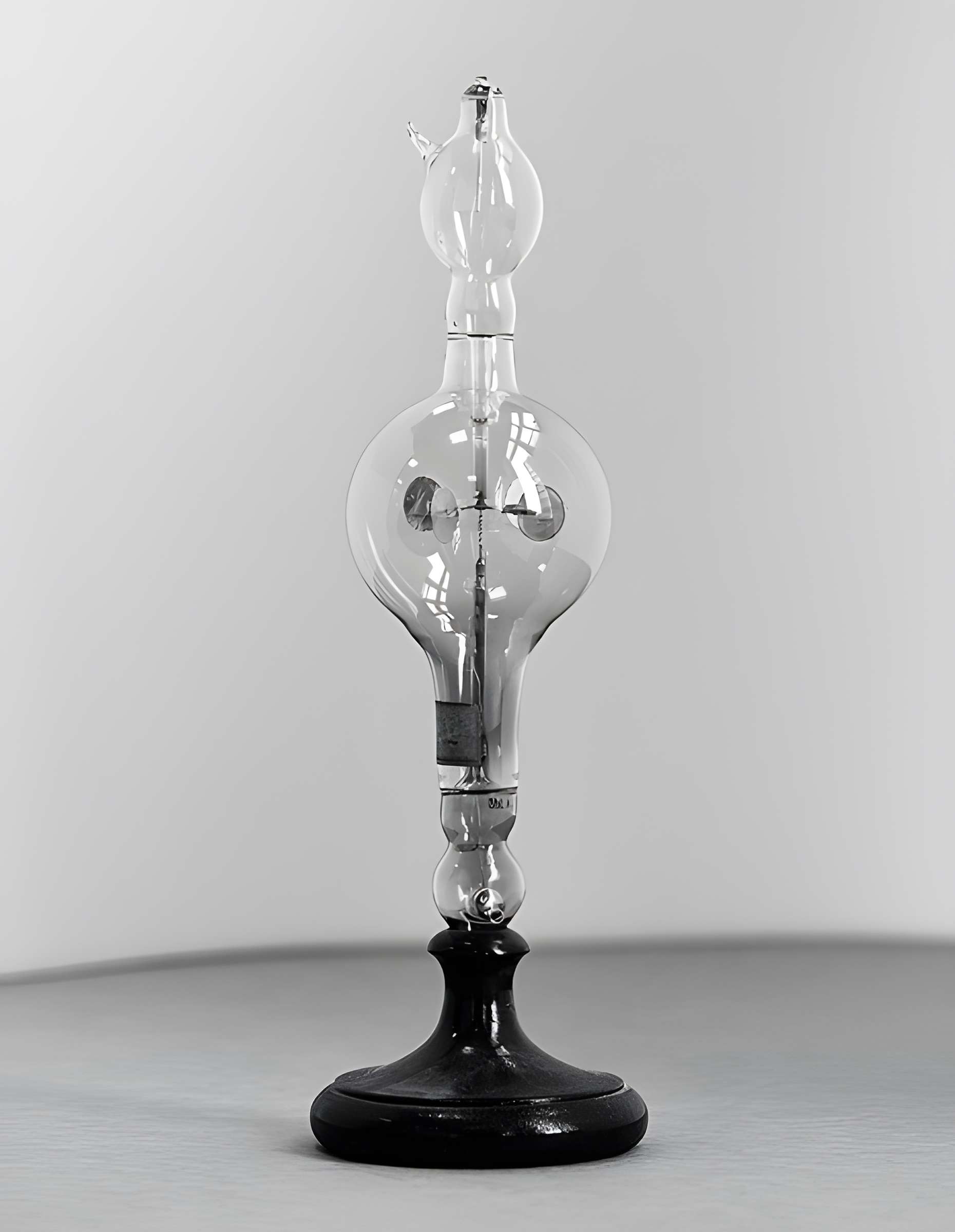 Musée d'histoire naturelle de Lille