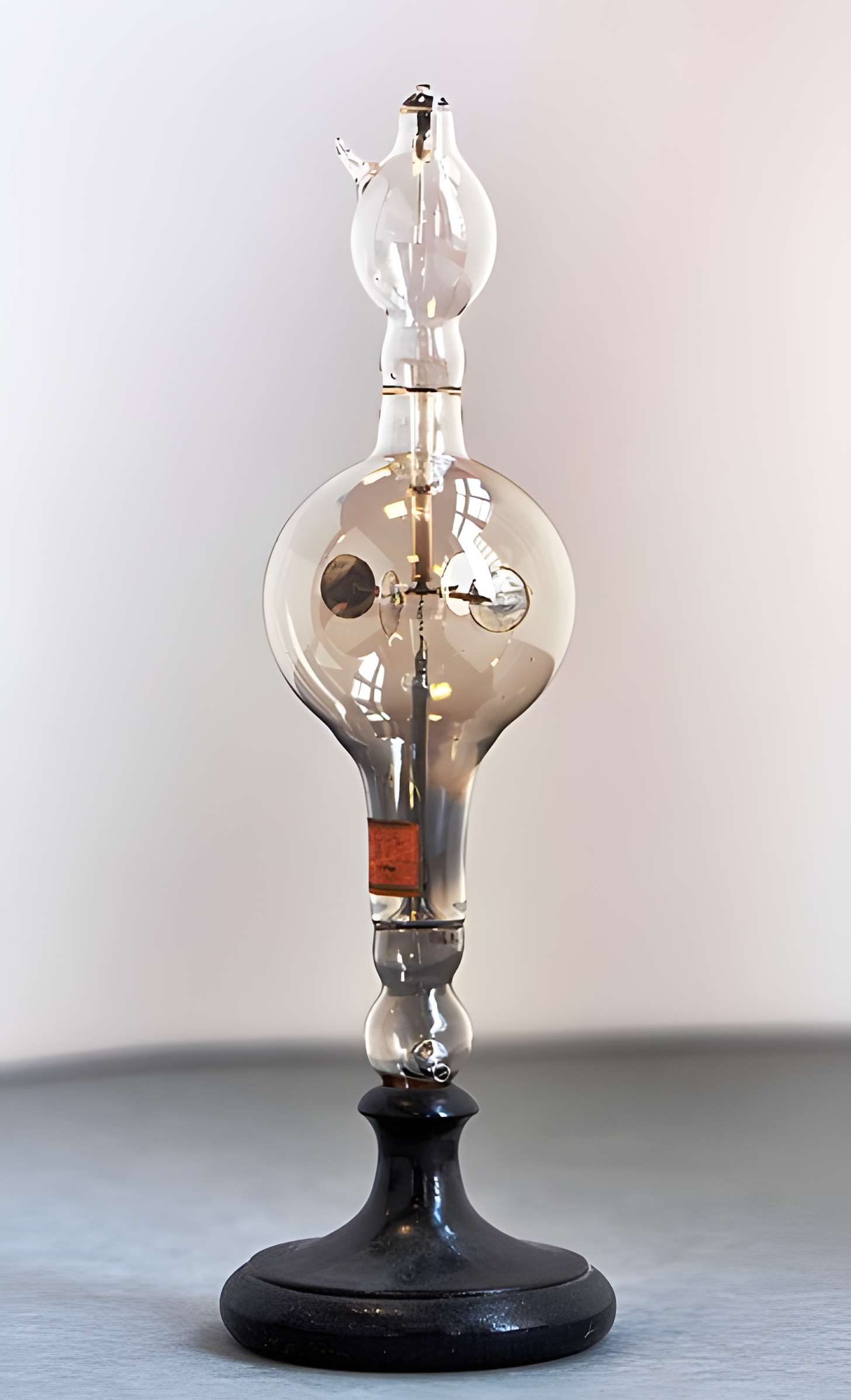 Musée d'histoire naturelle de Lille